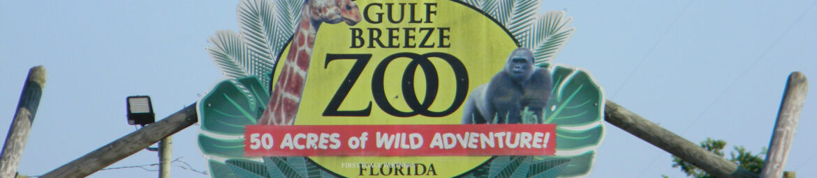 cropped-Gulf-Breeze-Zoo-scaled-1.jpg